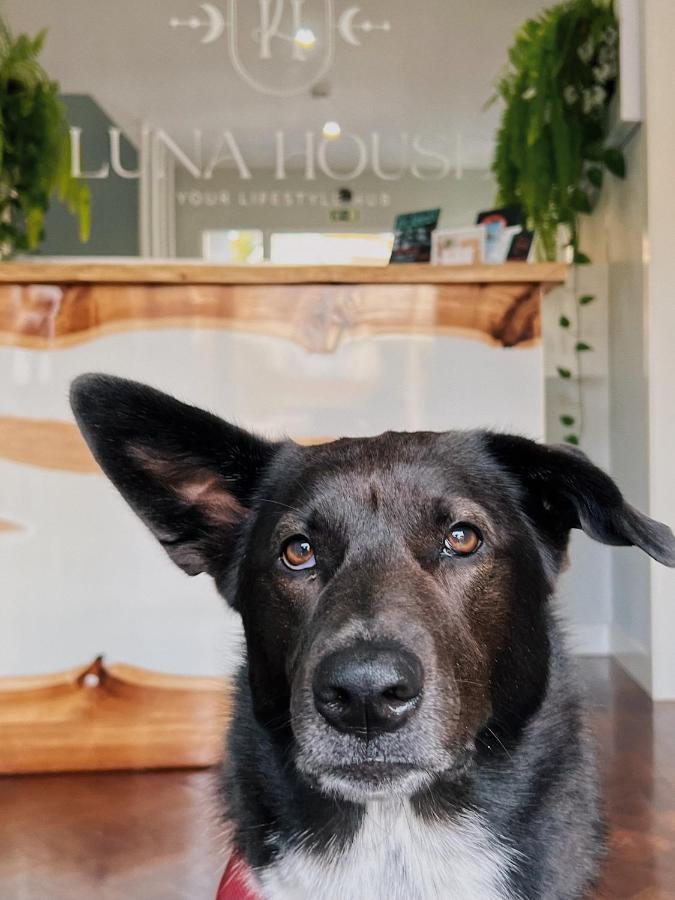 Luna House & Cowork Кашкайш Екстериор снимка