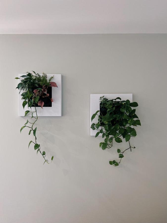 Luna House & Cowork Кашкайш Екстериор снимка